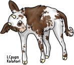 Cow.png