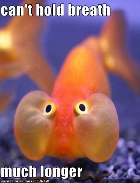 funny-pictures-this-fish-is-holding.jpg