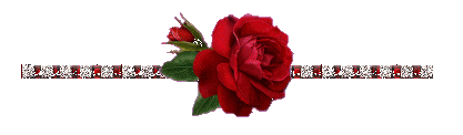 Rose Divider Pictures, Images and Photos