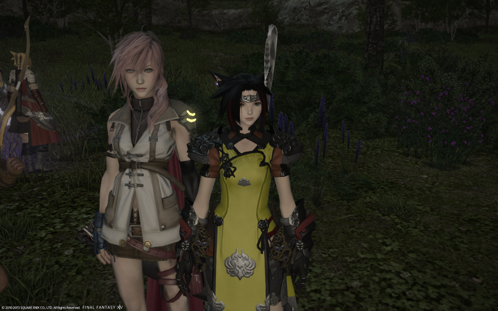 ffxiv_14112013_135741_zps5083d770.png