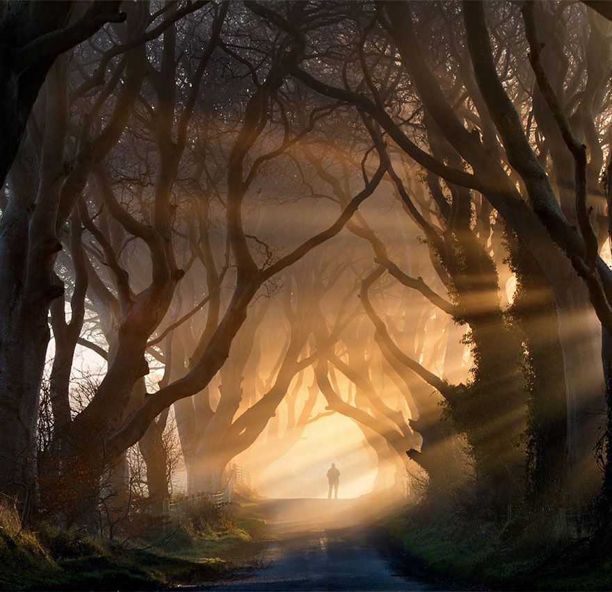  photo 19 - The Dark Hedges In Northern Ireland.jpg