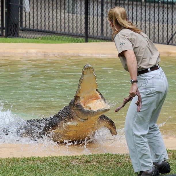  photo 16-year-old-bindi-irwin-crocodile-hunter-fathers-legacy-australia-zoo-42.jpg