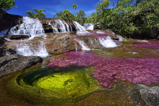  photo cano-cristales-liquid-rainbow-olivier-grunewald-01__880.jpg