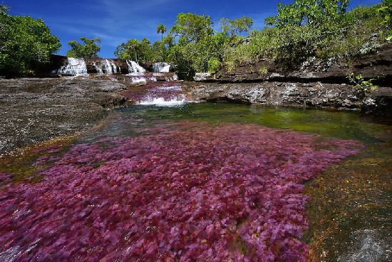  photo cano-cristales-liquid-rainbow-olivier-grunewald-07__880.jpg