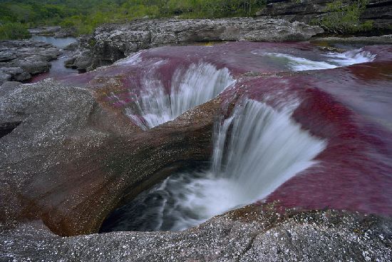  photo cano-cristales-liquid-rainbow-olivier-grunewald-10__880.jpg