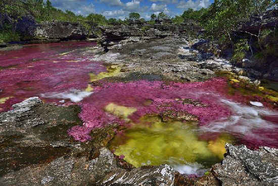  photo cano-cristales-liquid-rainbow-olivier-grunewald-17__880.jpg