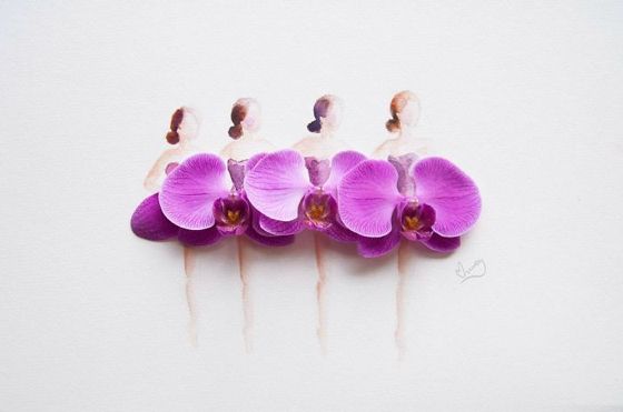 photo Artist-makes-lovely-illustrations-using-flowers-food-and-watercolor13__700.jpg