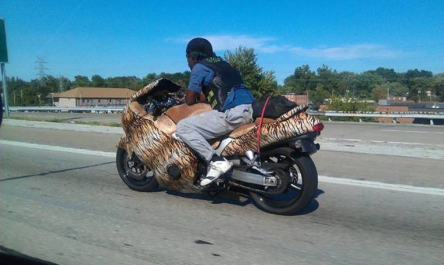  photo the_strangest_sights_witnessed_in_traffic_640_23.jpg