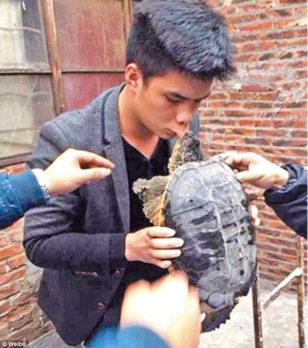  photo kiss-turtle.jpg