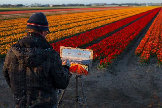  photo flower-tulip-fields-netherlands-15.jpg