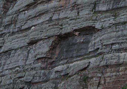  photo crazy-goats-on-cliffs-22.jpg