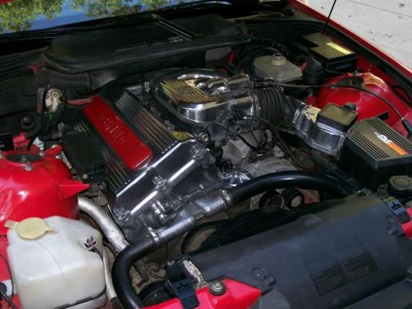 user56_pic20_1226766159.jpg