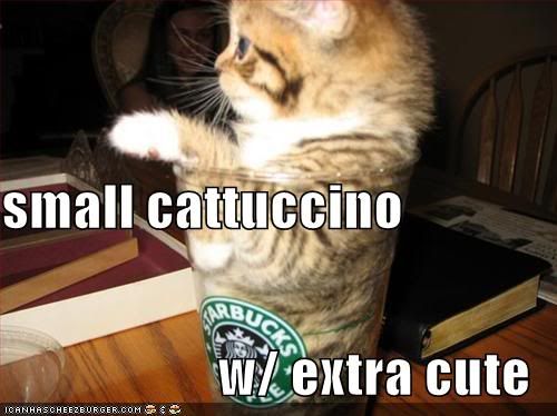 Cattuccino Pictures, Images and Photos