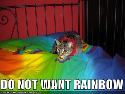 lolcat rainbow