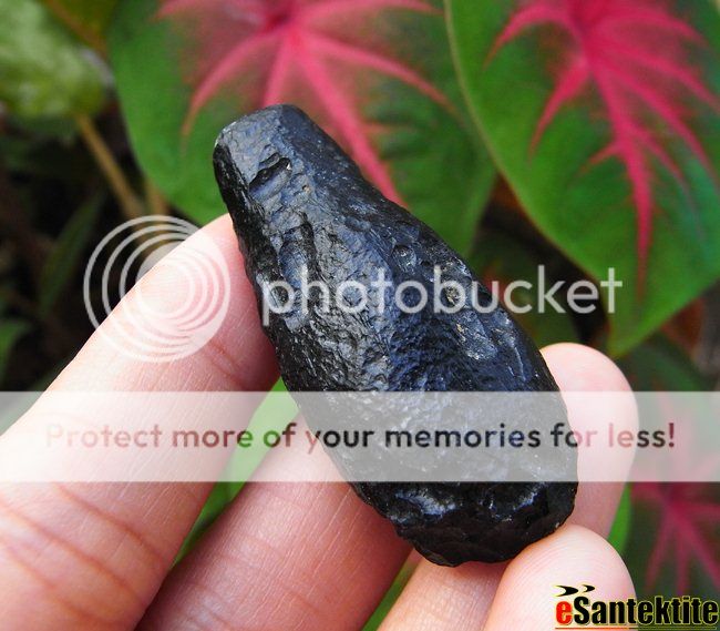 19.0 g.TWO SKIN TEARDROP TEKTITE METEORITE #y55  