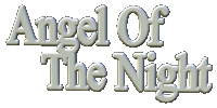 Angel Of The Night