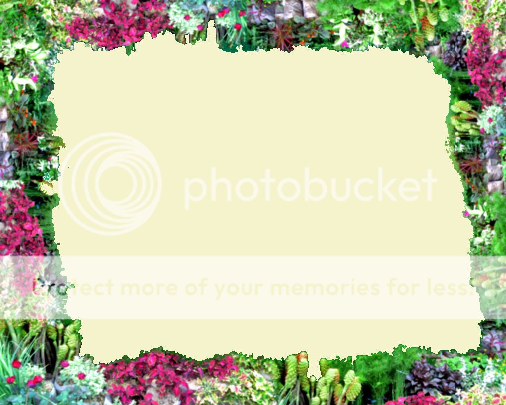 flower-frame.jpg Photo by irishdreemer | Photobucket