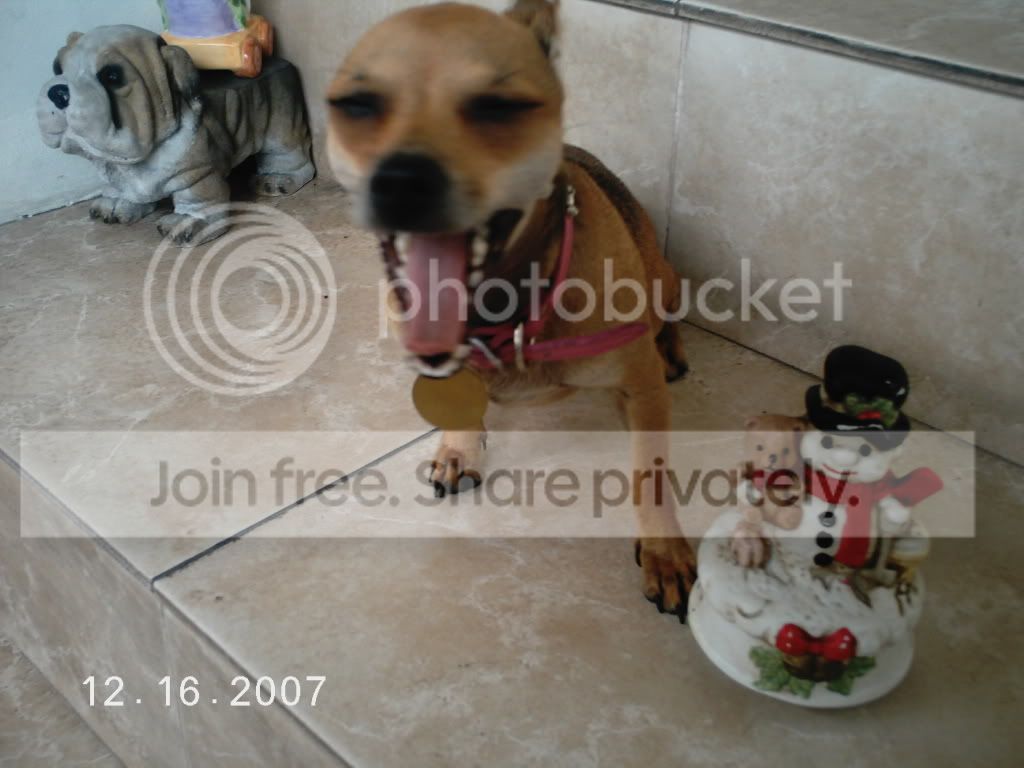 DCFC0044.jpg