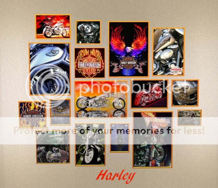 http://i386.photobucket.com/albums/oo307/leftywillnot007/4%20Colour%20Sims/Harley.jpg