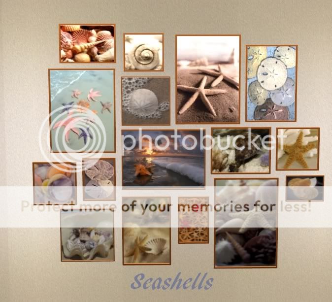 http://i386.photobucket.com/albums/oo307/leftywillnot007/4%20Colour%20Sims/Seashells.jpg