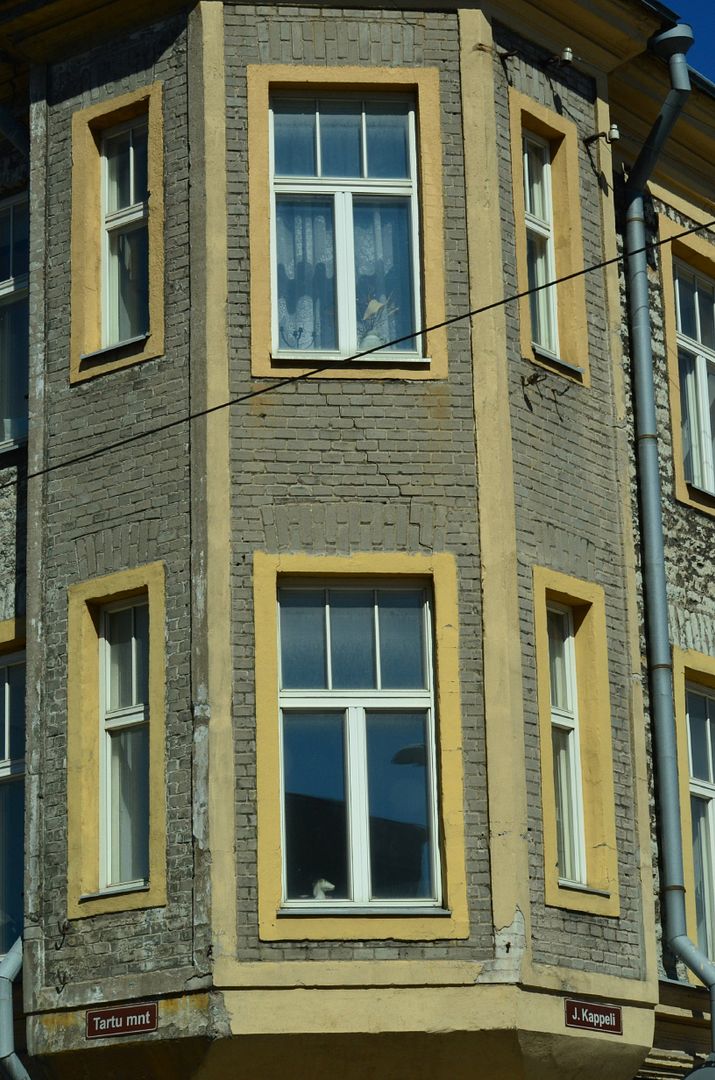 photo DSC_0257.jpg