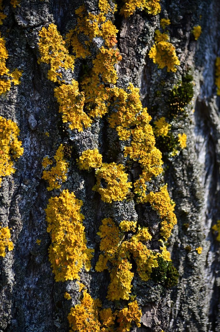 http://i386.photobucket.com/albums/oo308/homaxel/Minsk/DSC_0112.jpg