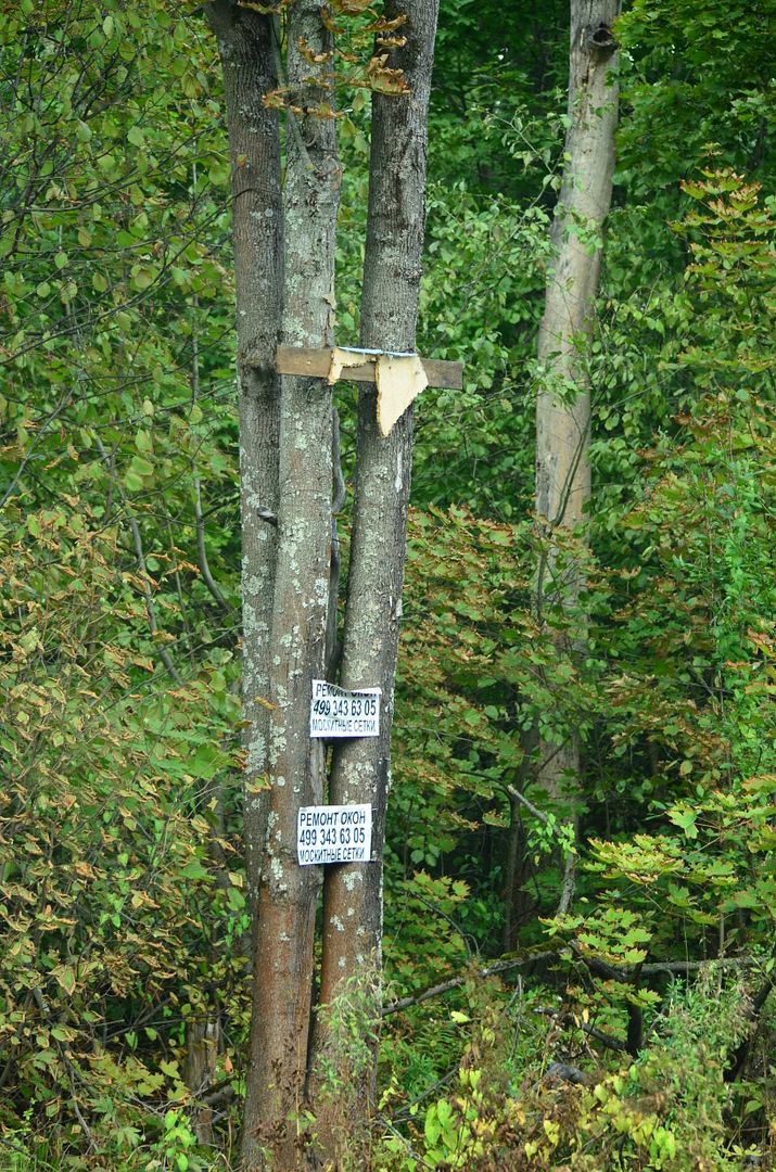photo DSC_0097.jpg
